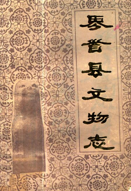 《《界首县文物志》》.pdf_安徽省志