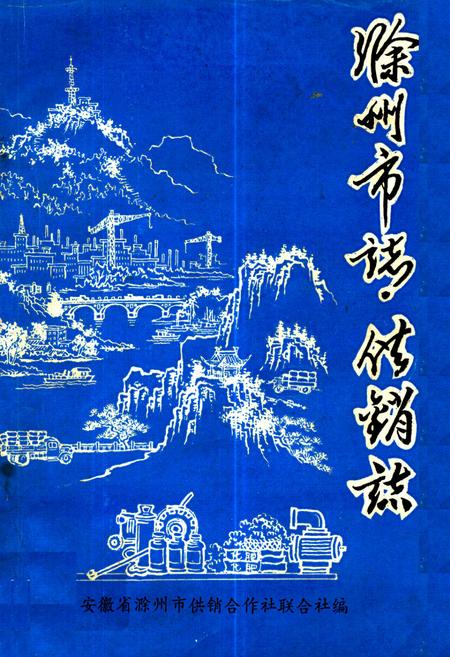 《滁州市志·供销志》.pdf_安徽省志