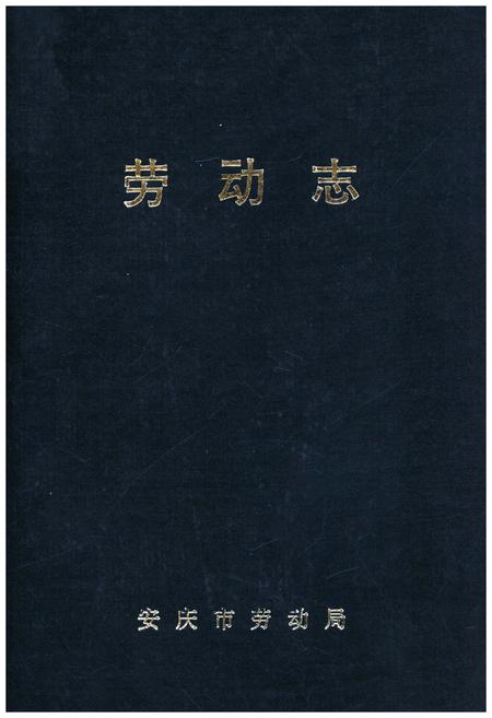 《劳动志》.pdf_安徽省志