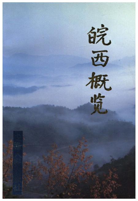 《皖西概览》.pdf_安徽省志