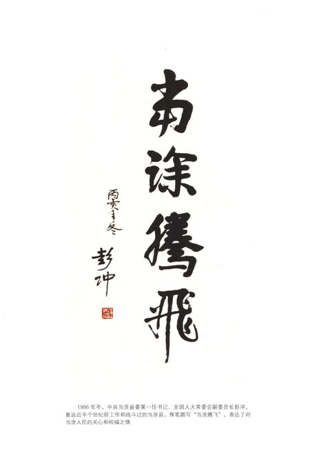 《当涂县志1978-2010》.pdf_安徽省志插图3