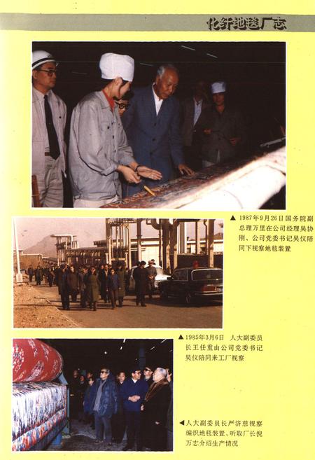 《化纤地毯厂志第一卷(1970~1990)》.pdf_北京市志插图5