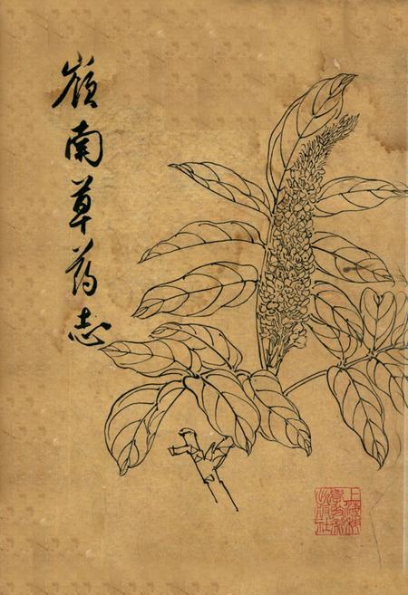 《嶺南草药志》.pdf_广东省志