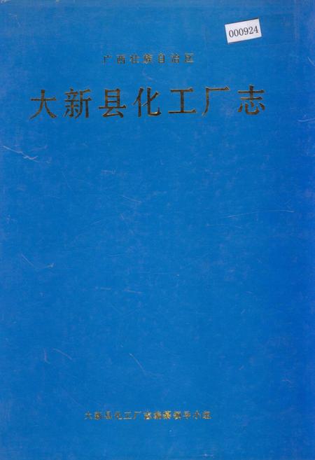 《大新县化工厂志》.pdf_广西壮族自治区志