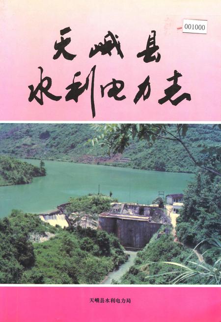 《天峨县水利电力志》.pdf_广西壮族自治区志