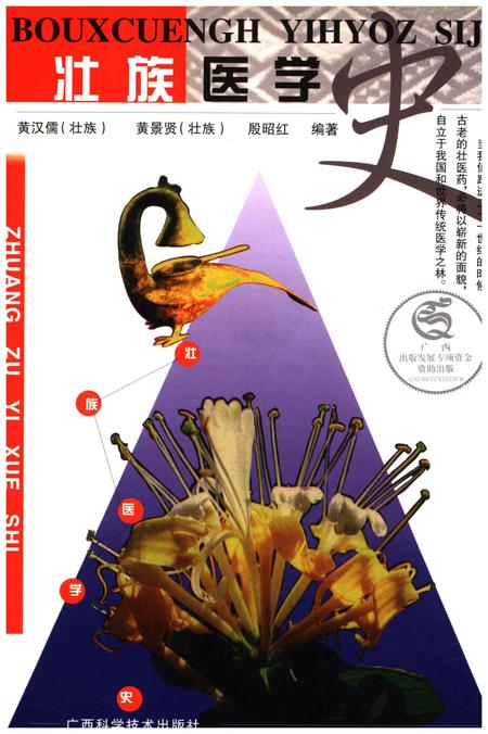 《壮族医学史》.pdf_广西壮族自治区志