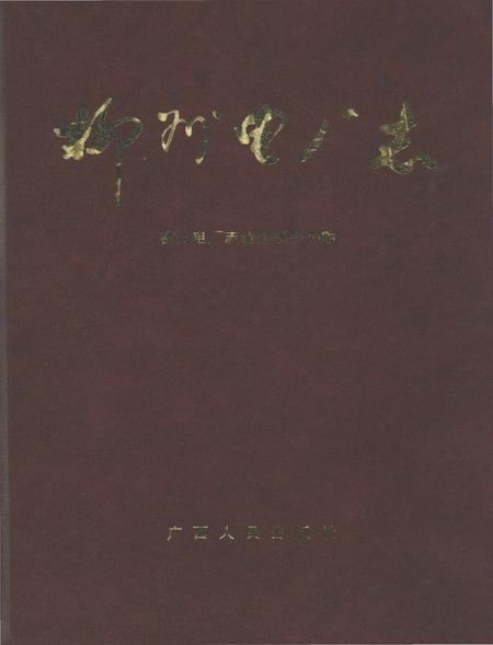 《柳州电厂志》.pdf_广西壮族自治区志