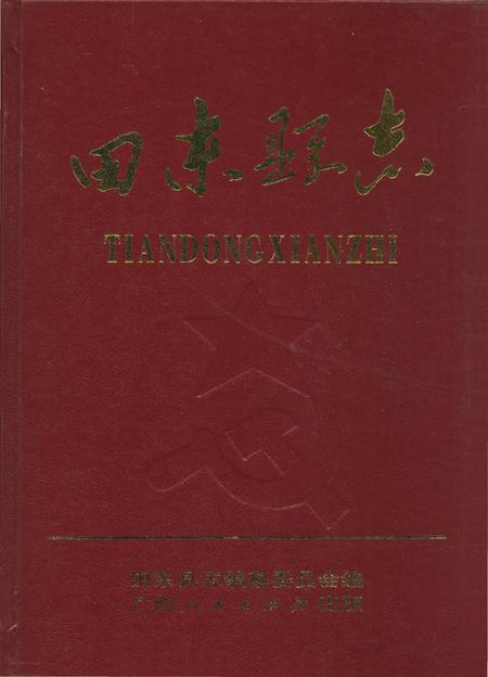 《田东县志》.pdf_广西壮族自治区志