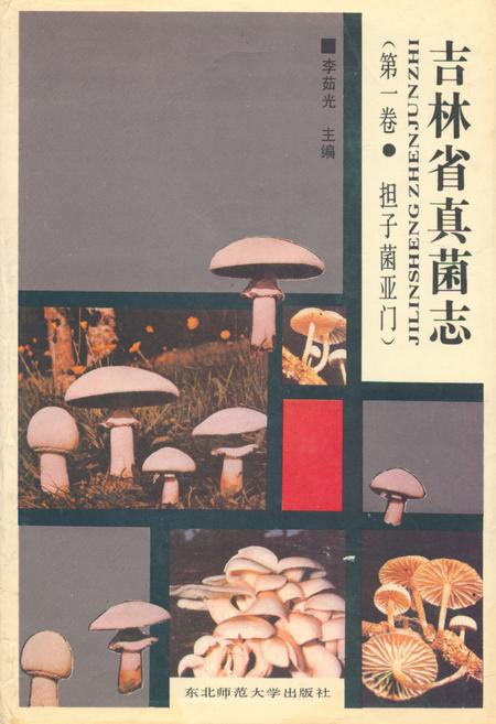 《《吉林省真菌志(第一卷·担子菌业门)》》.pdf_吉林省志