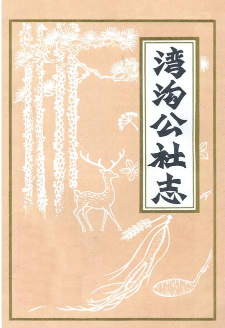 《湾沟公社志》.pdf_吉林省志