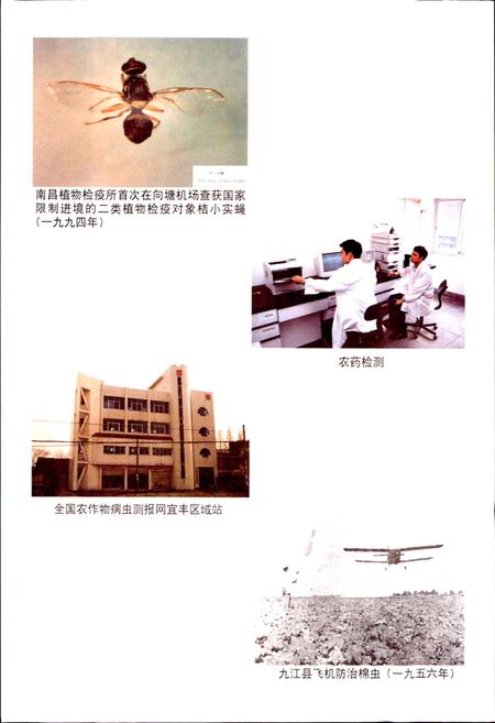 《江西植保志》.pdf_江西省志插图5