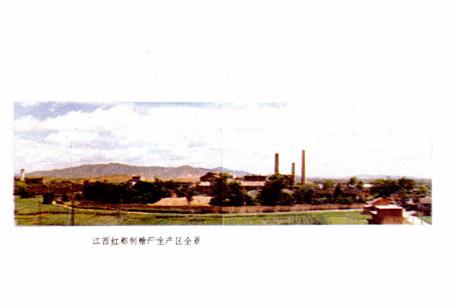 《江西红都制糖厂志》.pdf_江西省志插图3