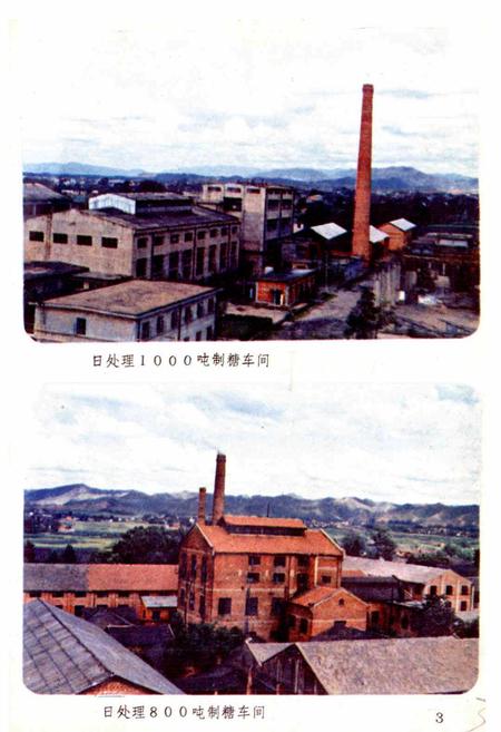 《江西红都制糖厂志》.pdf_江西省志插图5