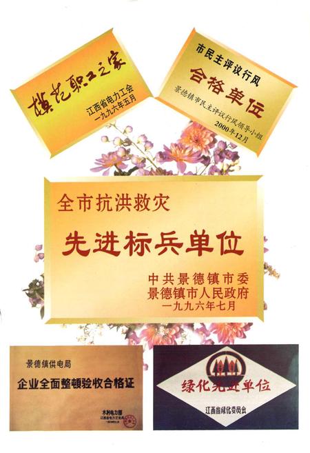 《江西景德镇供电局志(1977~2000)》.pdf_江西省志插图4 《江西景德镇供电局志(1977~2000)》.pdf_江西省志插图4