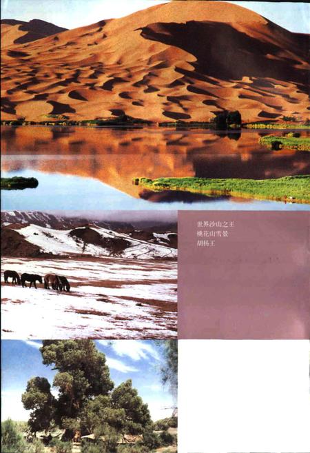 《内蒙古·阿拉善风物志》.pdf_内蒙古自治区志插图3 《内蒙古·阿拉善风物志》.pdf_内蒙古自治区志插图3