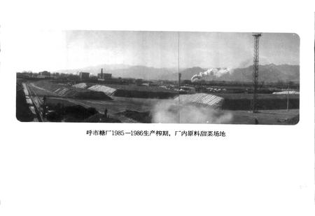 《呼和浩特市糖厂志》.pdf_内蒙古自治区志插图4