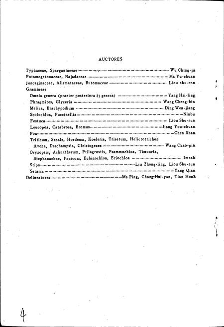 《内蒙古植物志 第七卷》.pdf_内蒙古自治区志插图4