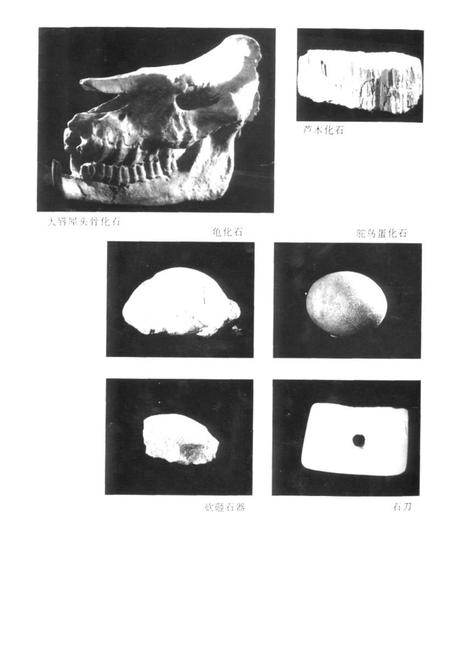 《《准格尔旗文物志》》.pdf_内蒙古自治区志插图5