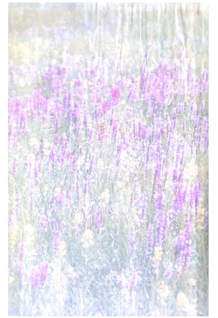 《《阿鲁科尔沁旗人民政府办公室翻译志》》.pdf_内蒙古自治区志插图3 《《阿鲁科尔沁旗人民政府办公室翻译志》》.pdf_内蒙古自治区志插图3