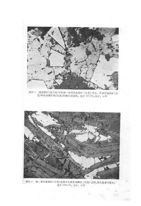 《白云鄂博矿物志》.pdf_内蒙古自治区志插图2 《白云鄂博矿物志》.pdf_内蒙古自治区志插图2