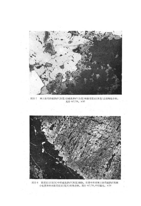 《白云鄂博矿物志》.pdf_内蒙古自治区志插图5 《白云鄂博矿物志》.pdf_内蒙古自治区志插图5
