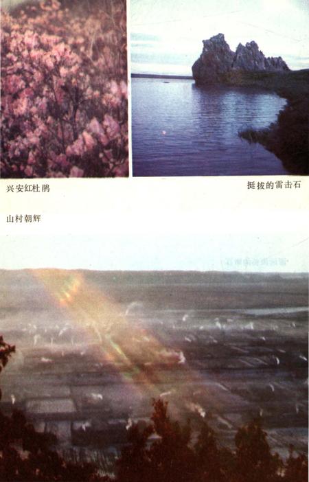 《莫力达瓦达斡尔族自治旗概况》.pdf_内蒙古自治区志插图4