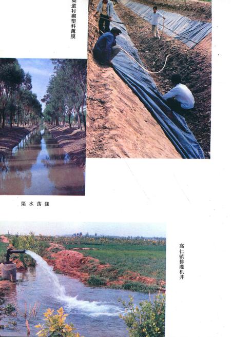 《《陶乐县水利志》》.pdf_宁夏回族自治区志插图4 《《陶乐县水利志》》.pdf_宁夏回族自治区志插图4