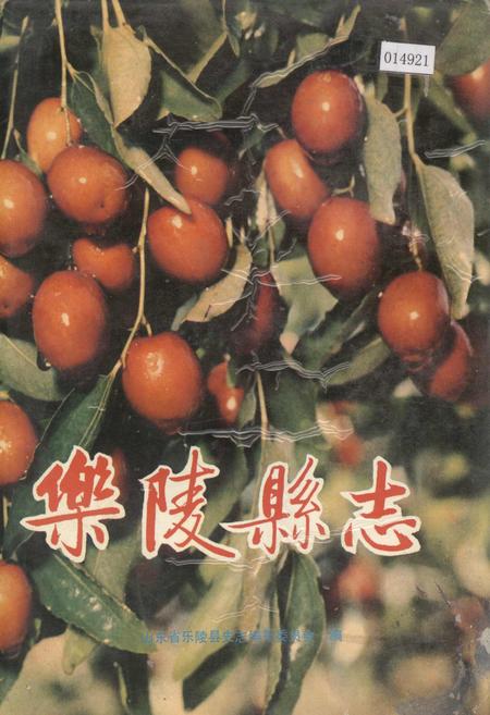 《乐陵县志》.pdf_山东省志