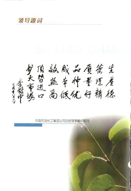 《中国石化齐鲁股份有限公司塑料厂志》.pdf_山东省志插图4 《中国石化齐鲁股份有限公司塑料厂志》.pdf_山东省志插图4