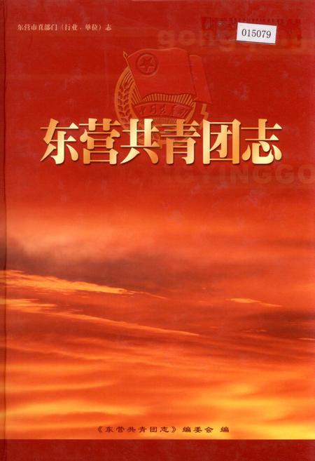 《东营共青团志》.pdf_山东省志