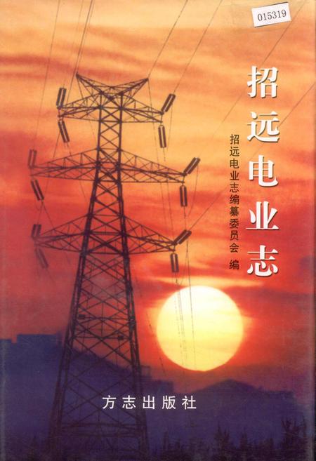 《招远电业志》.pdf_山东省志