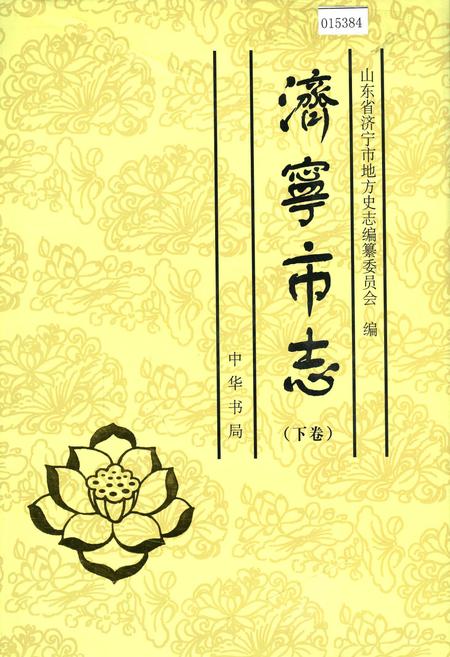 《济宁市志 （下卷）》.pdf_山东省志插图
