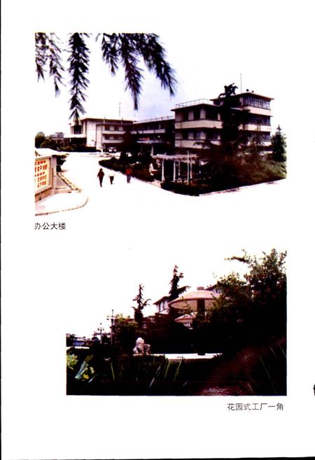 《枣庄市天鹅地毯总厂厂志》.pdf_山东省志插图5 《枣庄市天鹅地毯总厂厂志》.pdf_山东省志插图5