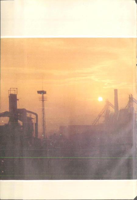 《莱钢第一铁厂志 全一卷》.pdf_山东省志插图3 《莱钢第一铁厂志 全一卷》.pdf_山东省志插图3