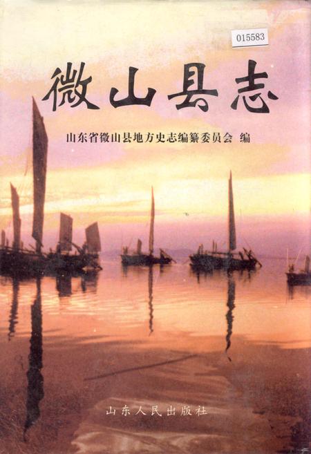 《微山县志》.pdf_山东省志