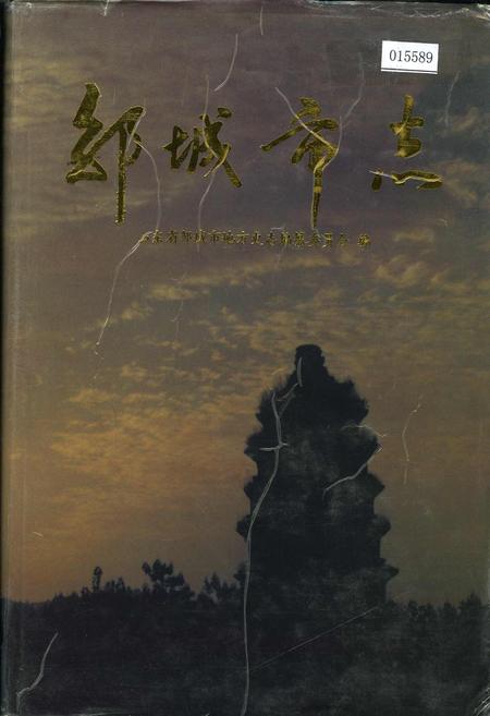 《邹城市志》.pdf_山东省志