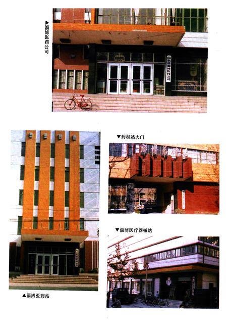 《淄博市医药志》.pdf_山东省志插图5