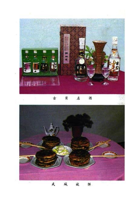 《武城县志简编》.pdf_山东省志插图4 《武城县志简编》.pdf_山东省志插图4