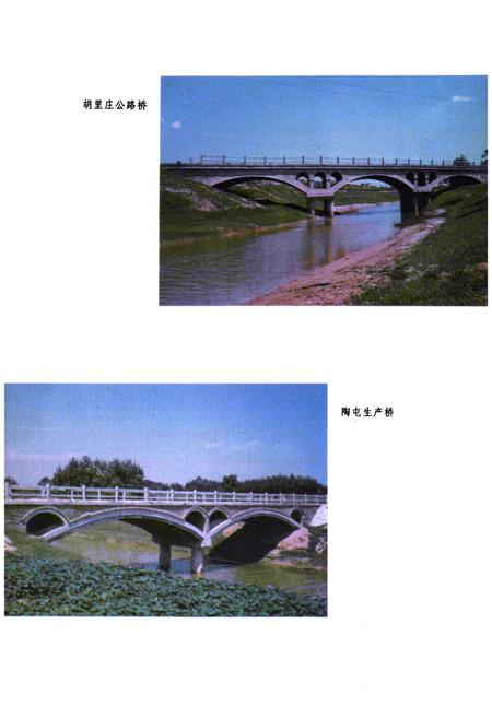 《临清市水利志》.pdf_山东省志插图5