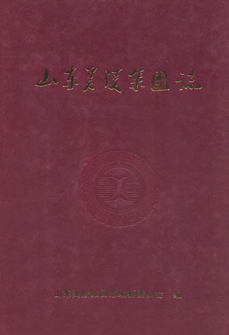 《山东美陵集团志》.pdf_山东省志
