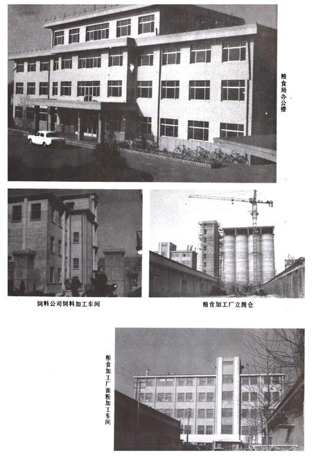 《德州市粮食志》.pdf_山东省志插图5