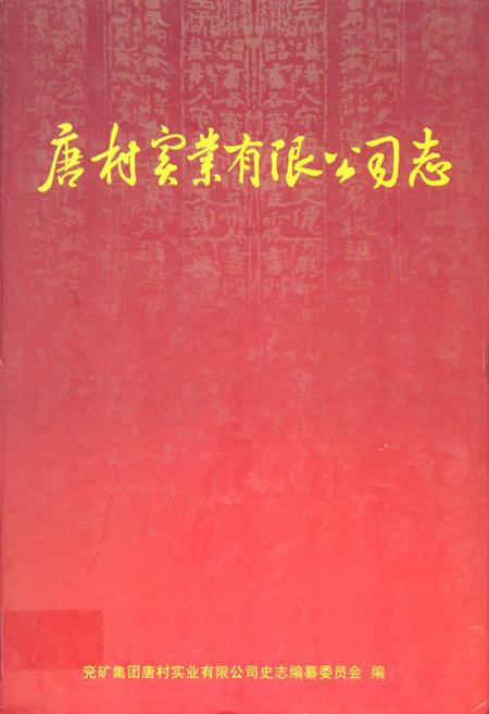 《唐村实业有限公司志》.pdf_山东省志