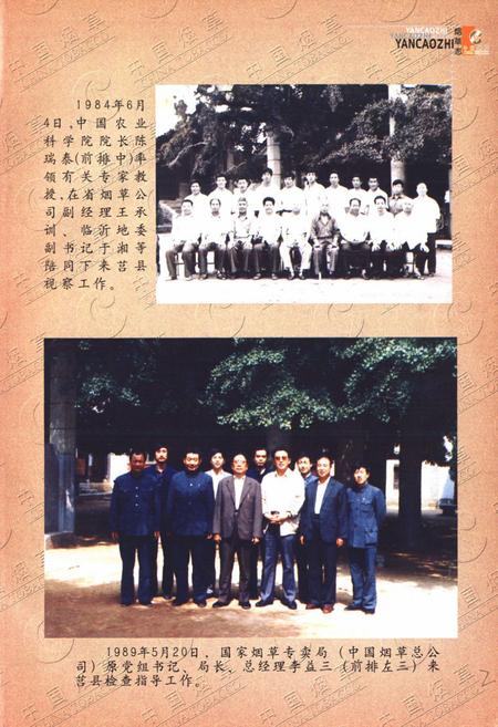 《日照烟草志·第一部》.pdf_山东省志插图3
