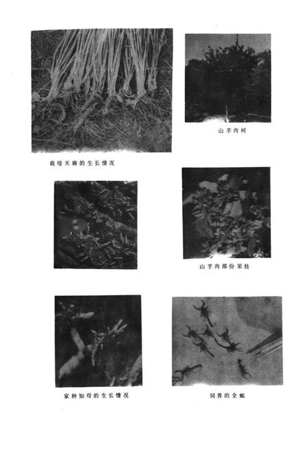 《《潍坊市医药志》》.pdf_山东省志插图5