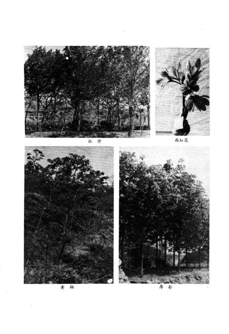 《《掖县医药志》》.pdf_山东省志插图4