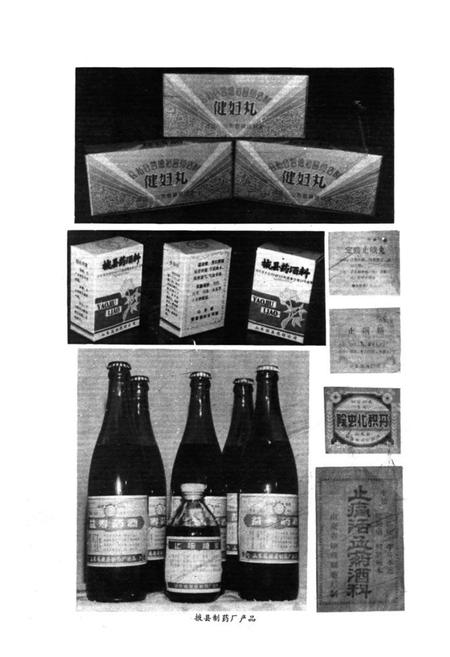 《《掖县医药志》》.pdf_山东省志插图5