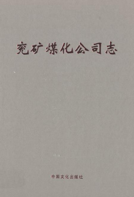 《兖矿煤化公司志》.pdf_山东省志