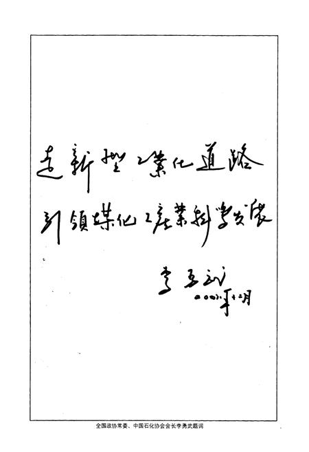 《兖矿煤化公司志》.pdf_山东省志插图5