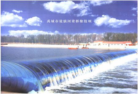 《禹城市水利志(1986-2005)》.pdf_山东省志插图2 《禹城市水利志(1986-2005)》.pdf_山东省志插图2