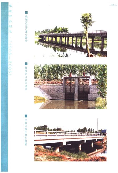 《禹城市水利志(1986-2005)》.pdf_山东省志插图5 《禹城市水利志(1986-2005)》.pdf_山东省志插图5